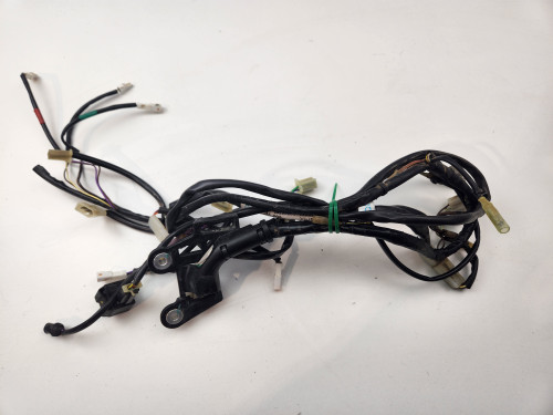 Lighting harness KTM250 KTM350 KTM450 KTM500 EXC-F 14-19 KTM300 EXC TPI 18-19 77711079000 Lighting harness KTM250 KTM350 KTM450 KTM500 EXC-F 14-19 KTM300 EXC TPI 18-19 77711079000