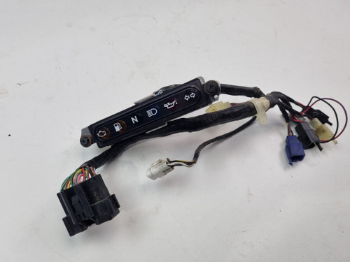 Instrument lights harness Triumph Sprint ST 955i  T2501153