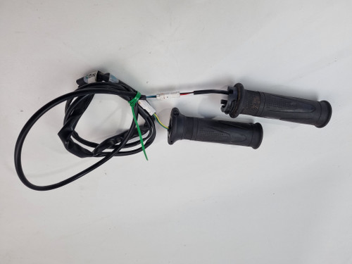 Heated grips Triumph Scrambler 1200 XE T2042516 T2042078