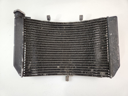 Radiator Honda CBR600F CBR600F4i CBR F4i 05-06 19010-MBW-N31