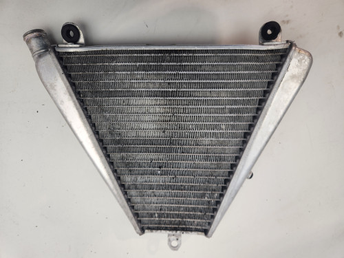 Lower Radiator Ducati Streetfighter Panigale V2  22-24 54841211A