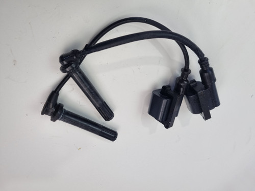 Ignition coil pair leads Ducati Supersport 939 S 17-18 Monster 1200 38010151A 67110592B