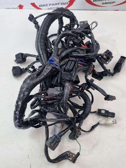 Main Harness Triumph Tiger 800 XCx XR XRT XRx XCA 15-17 T2507305