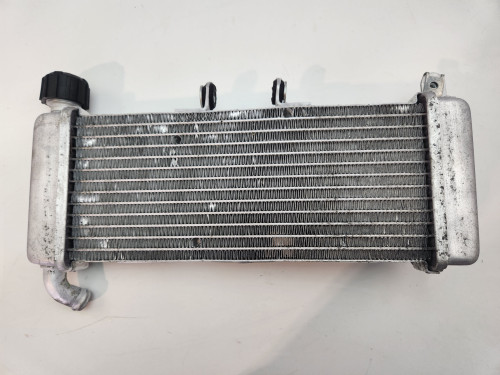 Radiator Aprilia RS4 125 4T E3 11-16 867334