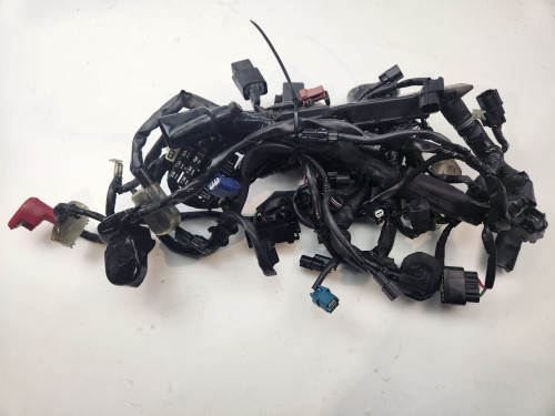 Main Harness Honda CB650R 19 32100MKNM50 Main Harness Honda CB650R 19 32100MKNM50