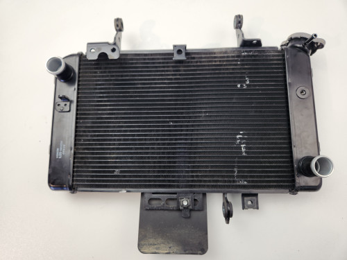 Radiator Suzuki DL650 V Strom 15-25 17710-11J00 Radiator Suzuki DL650 V Strom 15-25 17710-11J00