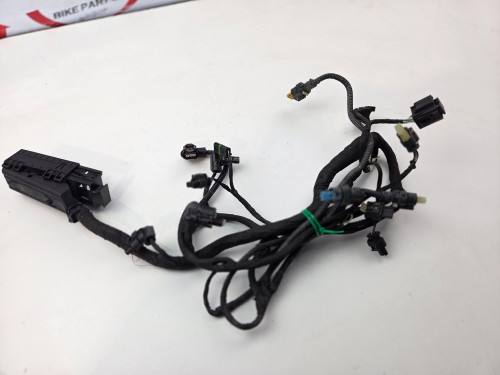 Engine Harness BMW F900 GS Enduro Engine Harness BMW F900 GS Enduro