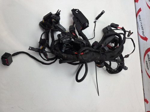 Main Harness BMW F900 GS Enduro 61115A79F91 Main Harness BMW F900 GS Enduro 61115A79F91