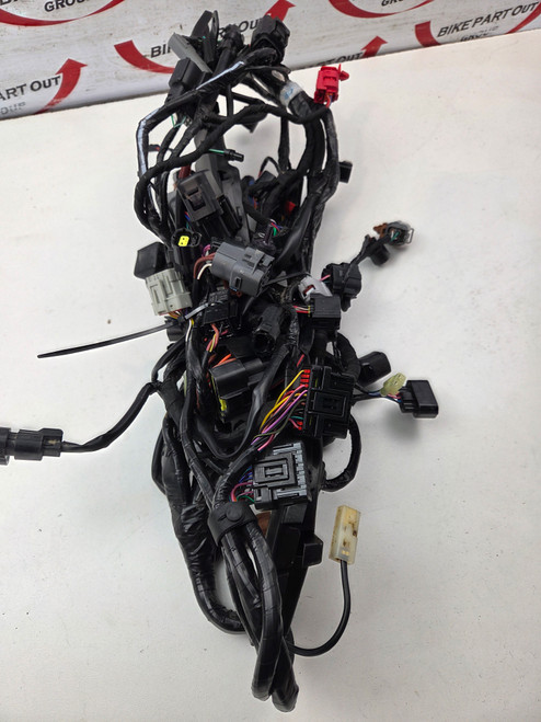 Main harness Triumph Tiger 900 Rally Pro GT T2504718 Main harness Triumph Tiger 900 Rally Pro GT T2504718