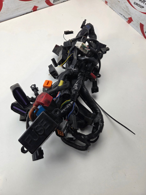 Main Harness 469051 > Triumph 865 Speedmaster America EFI T2085063