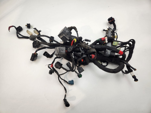 Main Harness Ducati Monster 1200 S 15-16 51019401C