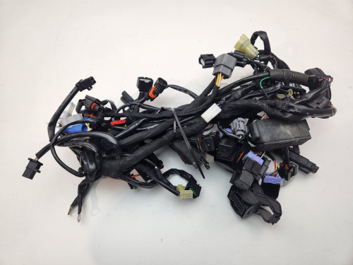 Main Harness KTM 890 Adventure R 21-22 63711075000