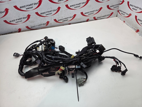 Main Harness Triumph Thruxton 1200 RS T2501406
