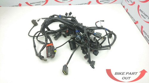Main Wiring Harness Triumph Tiger Sport 1050 13 - 15 T2502164