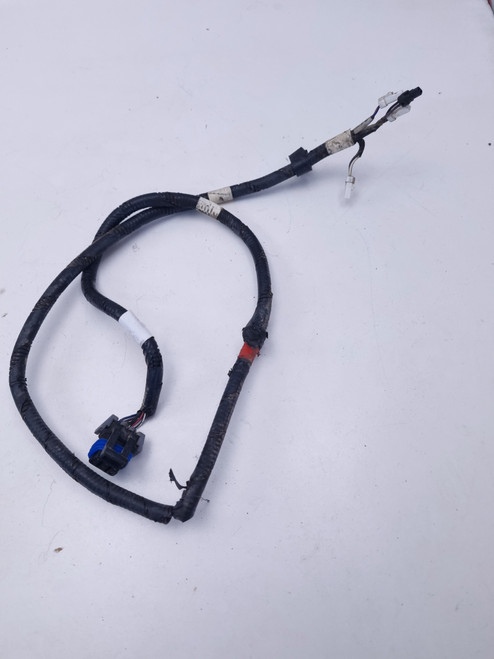 Rear wiring harness Victory Judge boardwalk 2411868