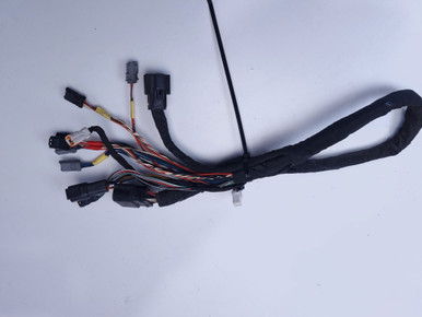 Frame backbone harness Harley Davidson M8 Softail 18-23 69201655 - Bike