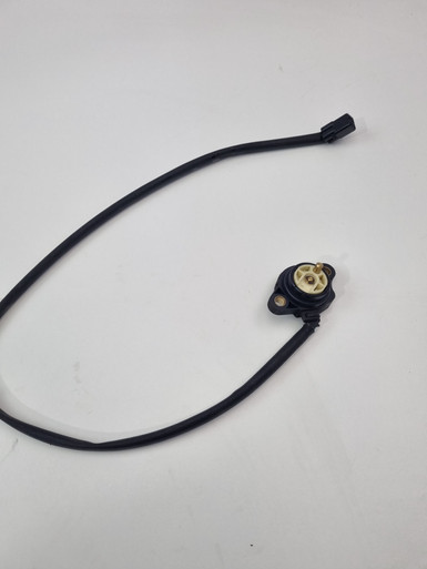 20241205_135324__53128.