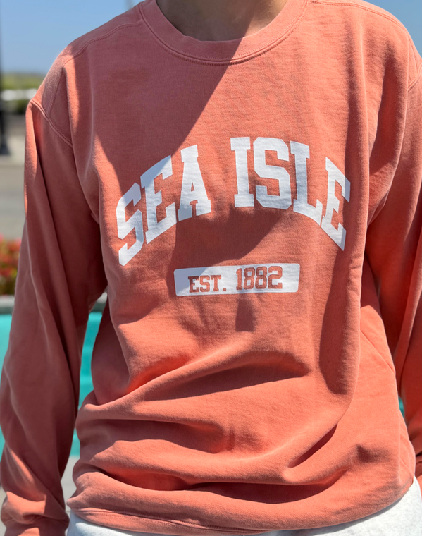 SIC EST classic crew neck - color terra cotta