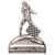 DC1003 Borg Warner Flag Pin Main Image