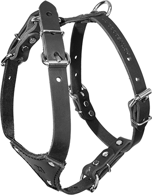 small dog leather harness