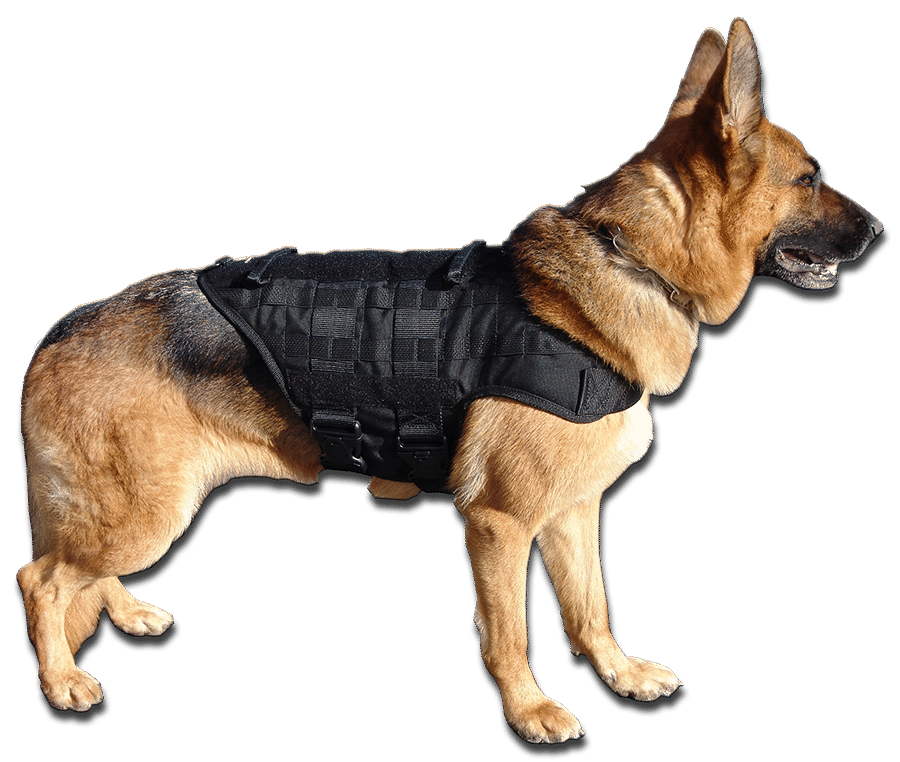 k9 molle vest