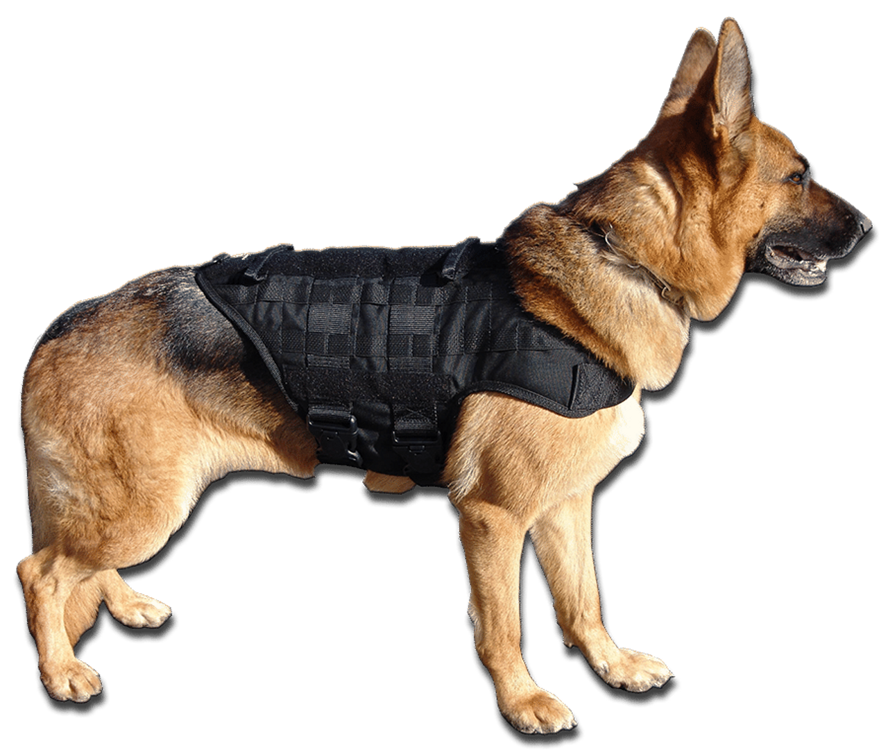PETLAVISH™ Tactical Large Dog Harness w/ Handle: NO-PULL, Adjustable, -  EliteDealsOutlet