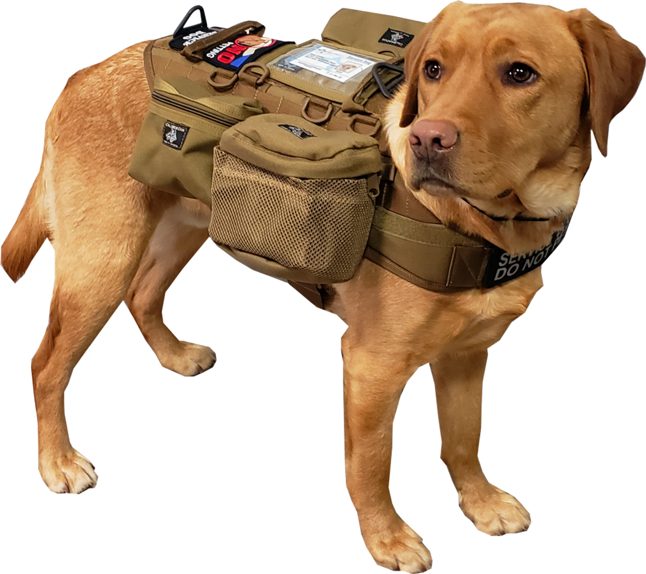 k9 molle vest