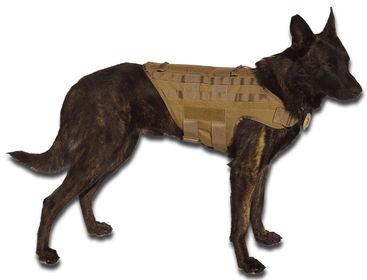 CaliberDog Ballistic Level III-A Kevlar Working Dog Vest - Active Dogs