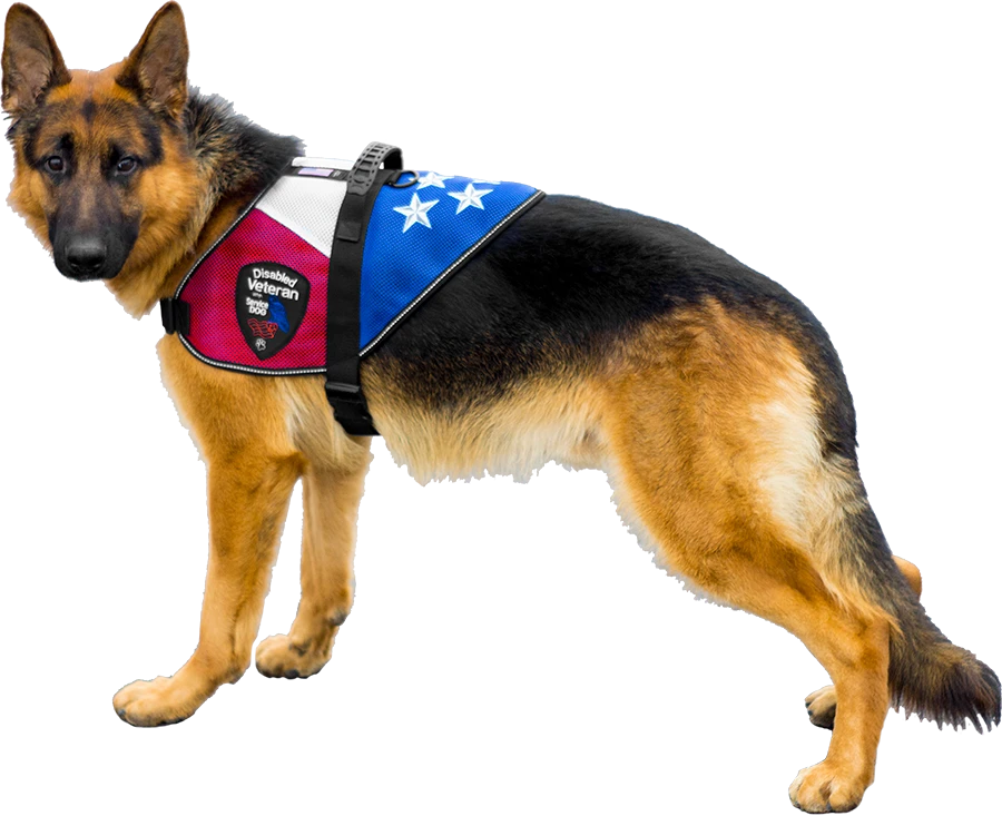 Patriotic Service Dog Mesh Vest