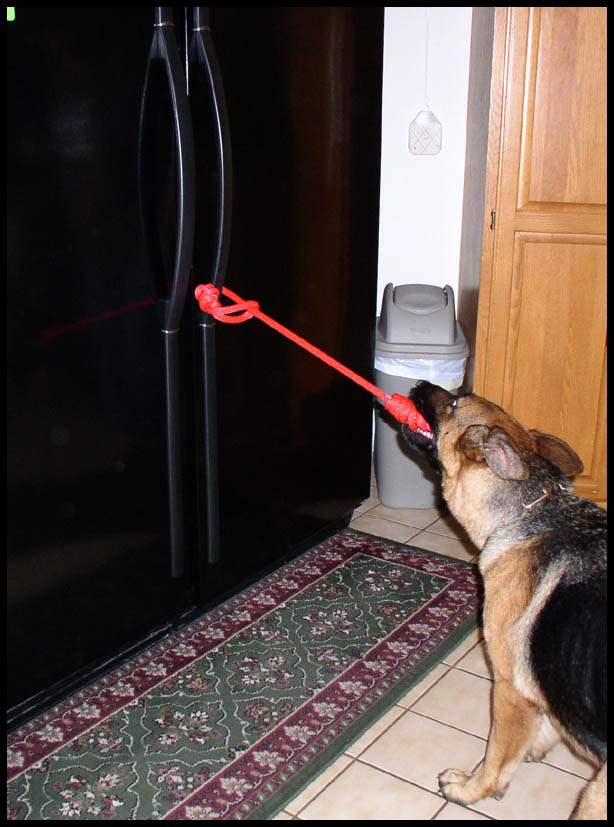 service dog door pull