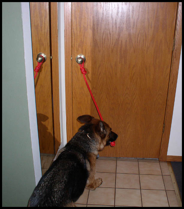 service dog door pull