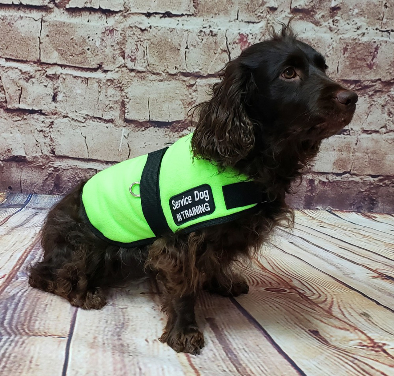 Service Dog Insulated Fleece Vest