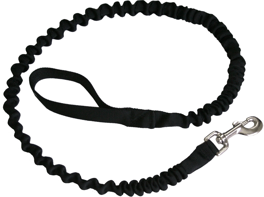 stretchy dog leash
