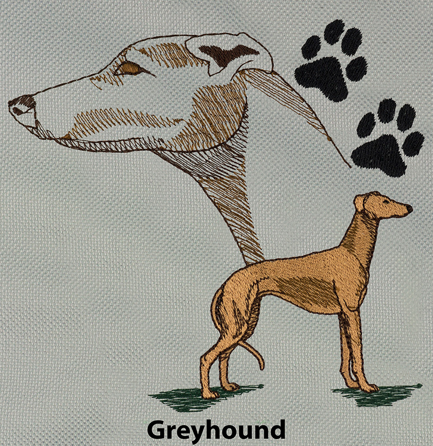 Greyhound