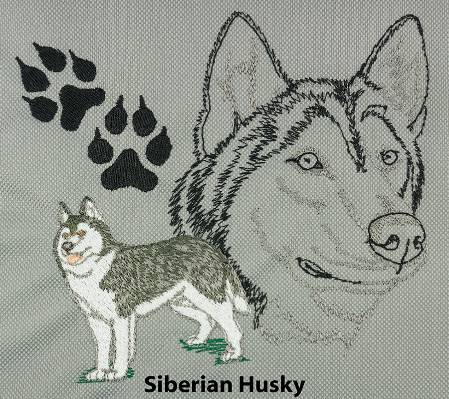 Siberian Husky