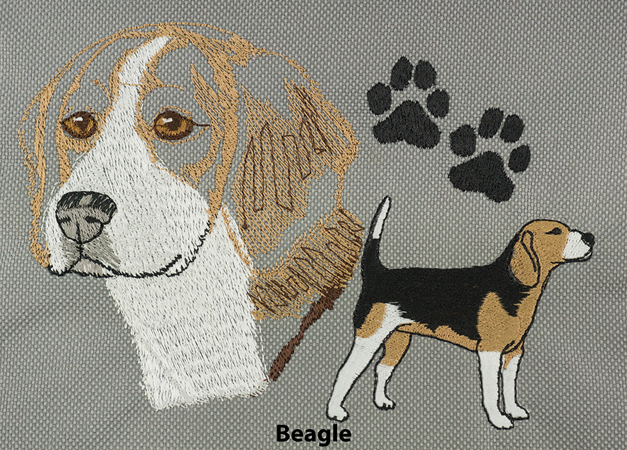 Beagle