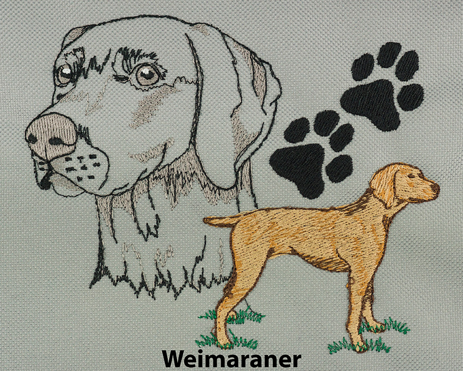 Weimaraner