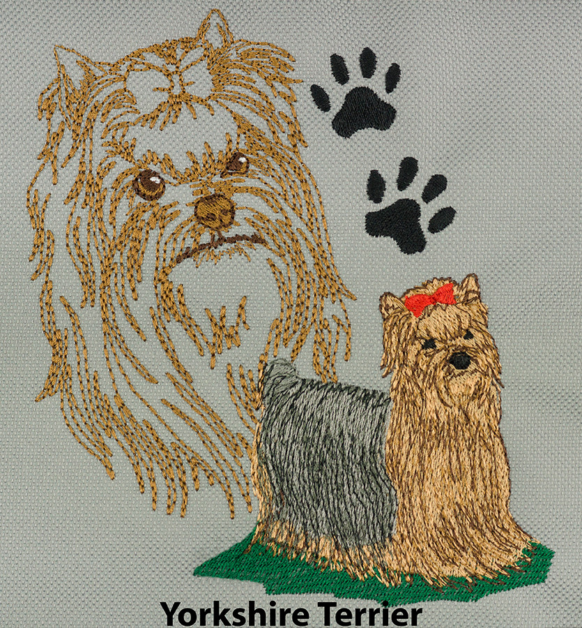 Yorkshire Terrier