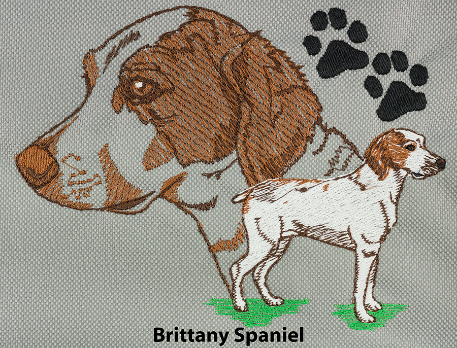 Brittany Spaniel