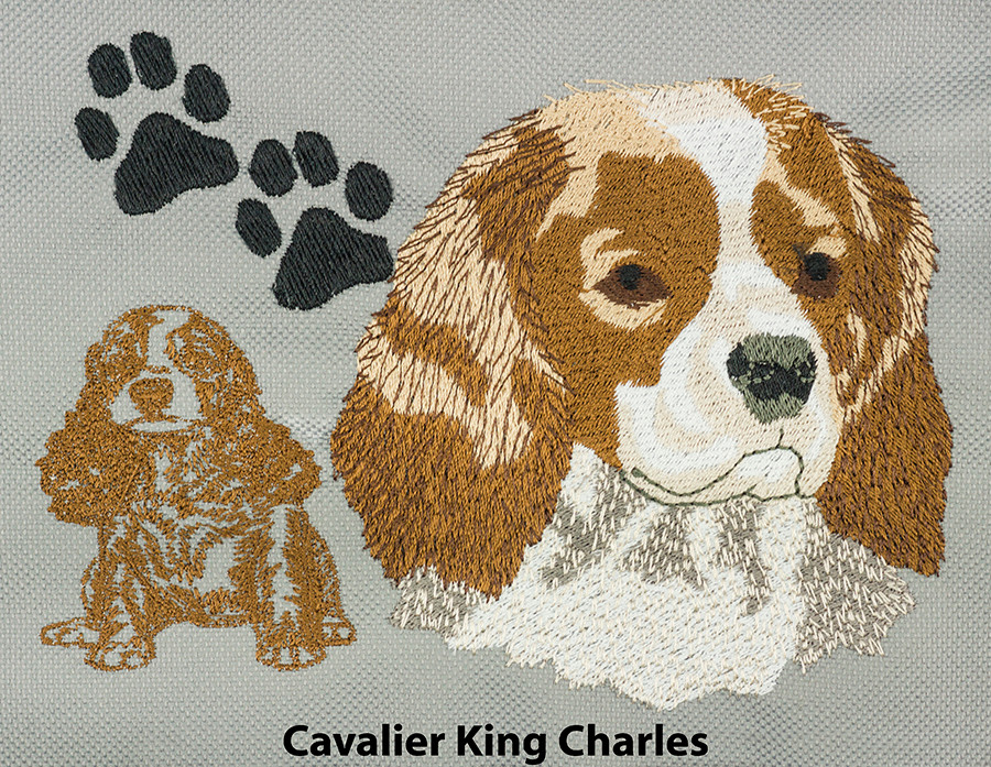 Cavalier King Charles Spaniel