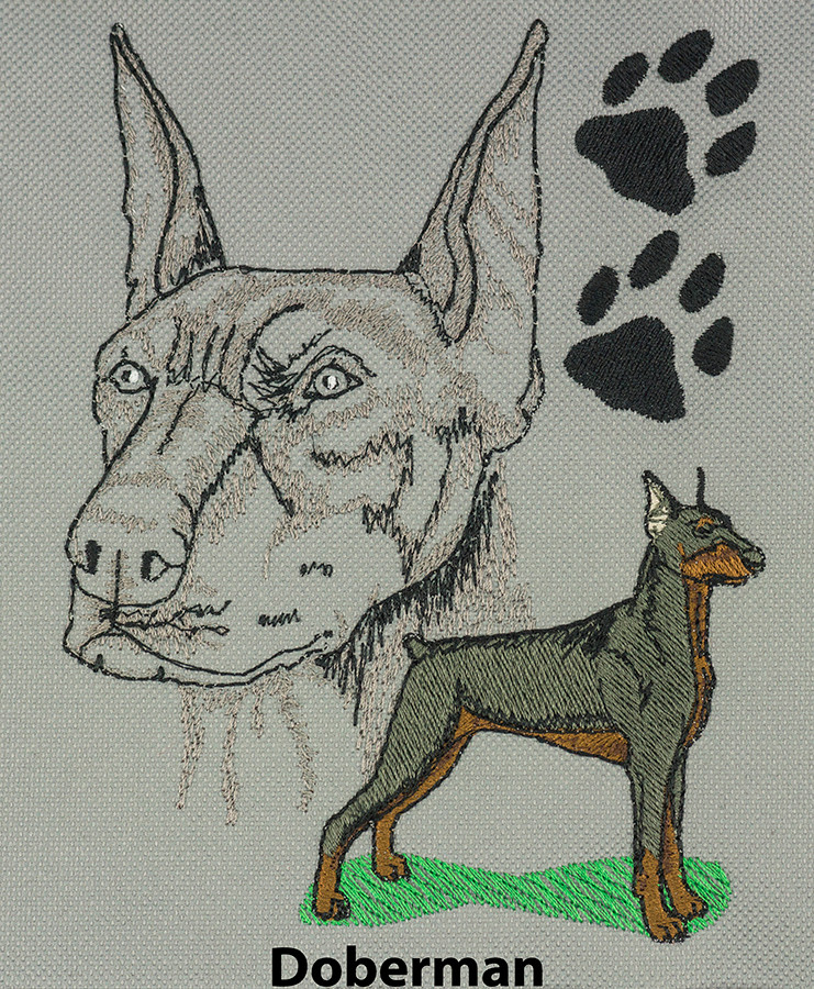 Doberman