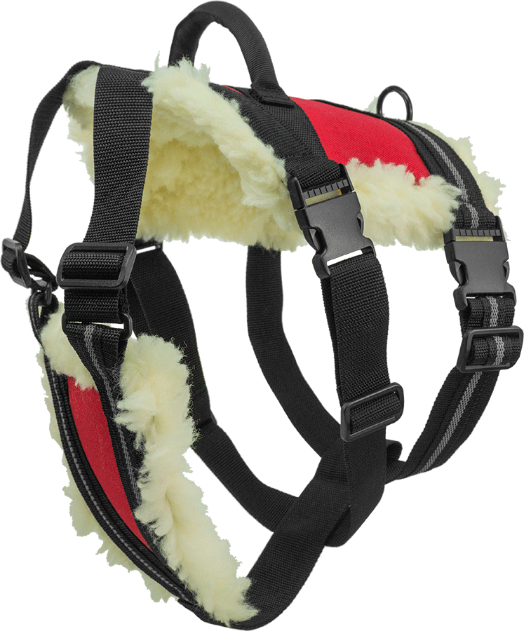wheel dog harness