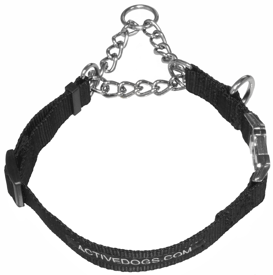 martingale training collar