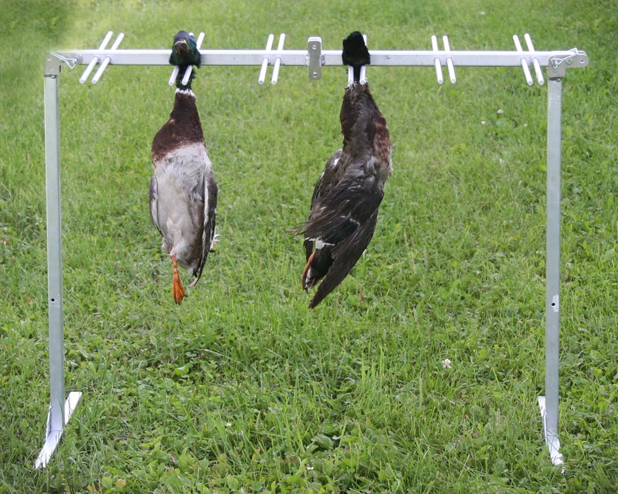 Folding bird rack with 36 bird capacity