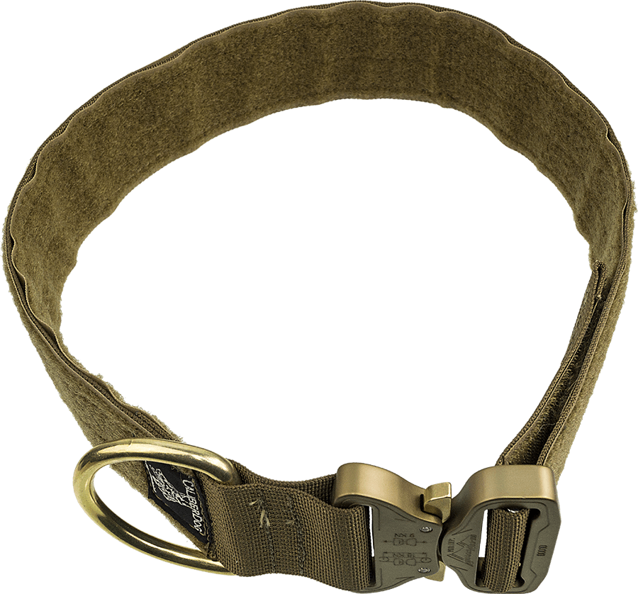 Tactical dog collar with Berry Compliant COBRA buckle