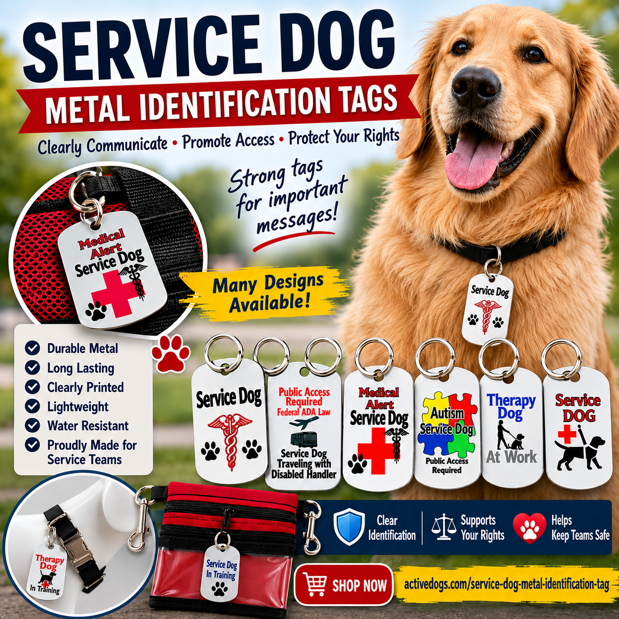 Public Access Required Service Dog with Disabled Handler