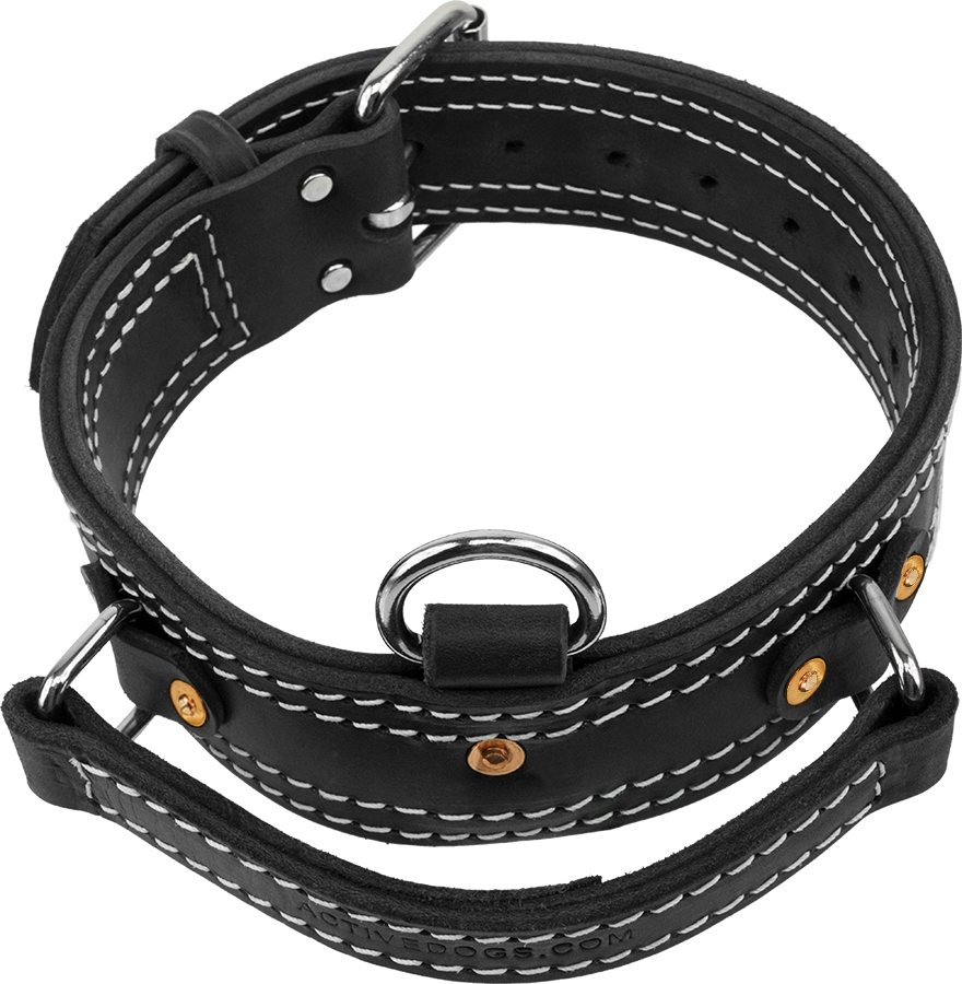 flat leather dog collar