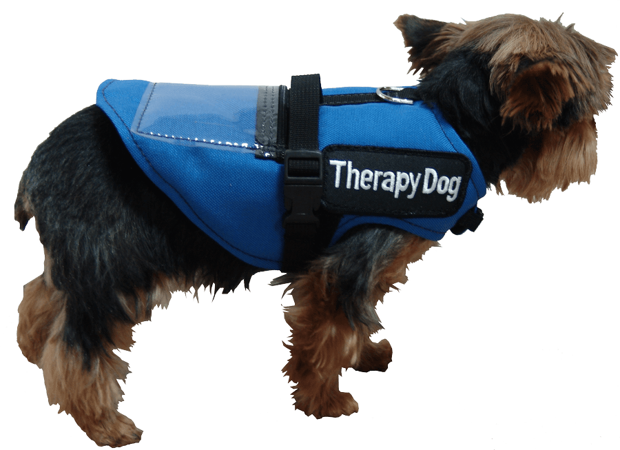 small service dog harness
