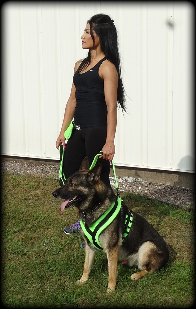 Secure no pull dog harness designed for all dog breeds