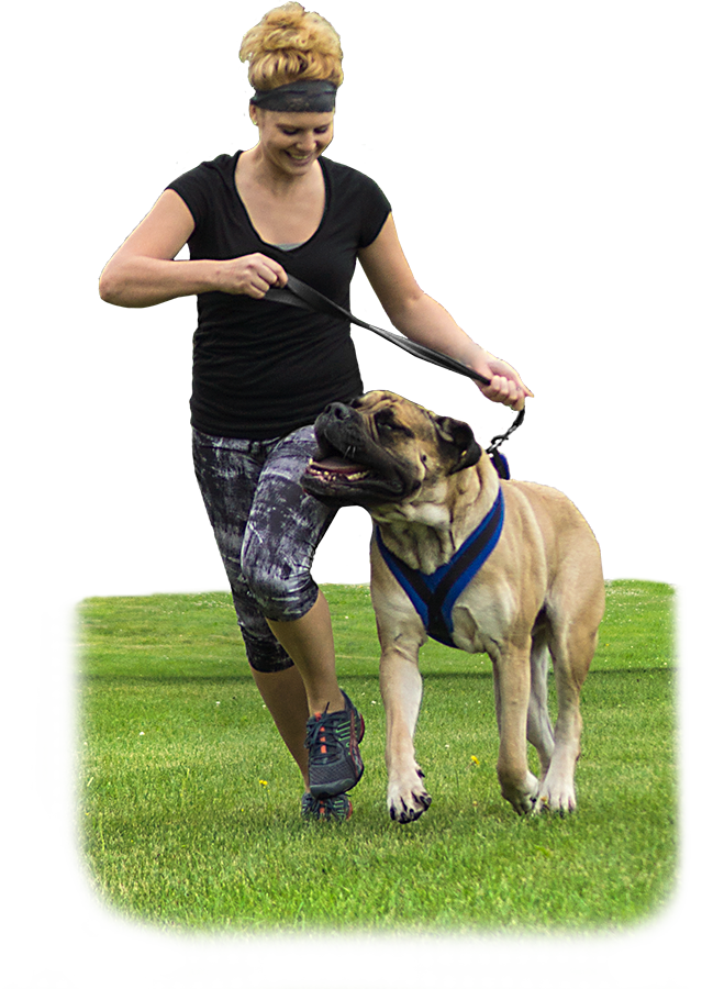 EEZWALKER Harness